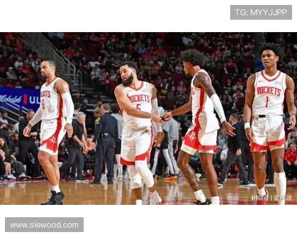 范弗里特缺阵对球队影响深远核心缺失或重塑战术体系