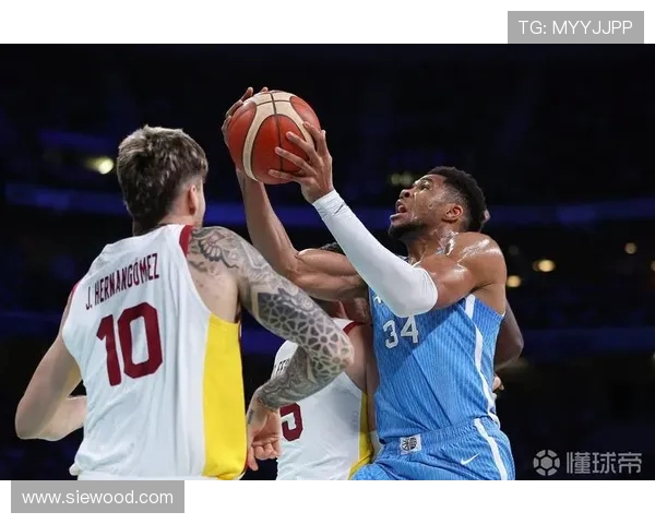 萨尔10中5贡献10分12板3助 仍难抵字母哥强势表现