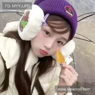 黄献崇